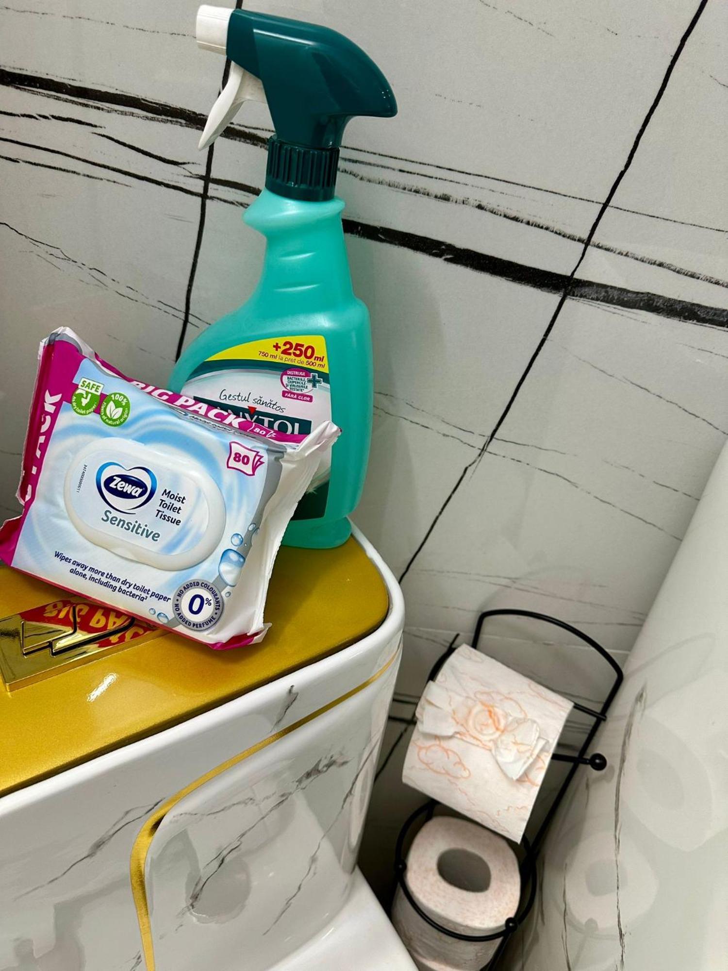 Evelyn Apartment Bistriţa Εξωτερικό φωτογραφία